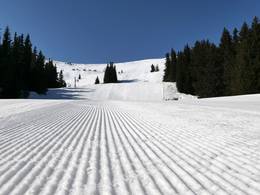 Vitosha/Aleko - Sofia