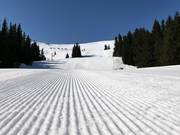 Piste appena preparate a Vitosha