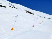 Innevamento con lance nell’area sciistica Zuoz