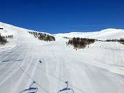 Numerose discese conducono nuovamente al Myrkdalsekspressen.