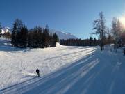 Ampie discese ben visibili