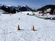 Area di esercitazione Schönried