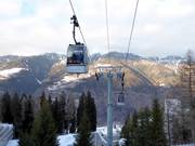 Marilleva 900 (Contrè-Malga Copai) - 12pers.| Telecabina (Monofune)