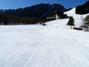 Pista presso lo skilift Rasmusleiten