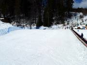 Pista per principianti nell'Owl Learning Area