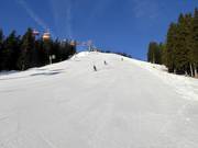 Pista FIS di slalom Knobel