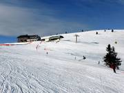 Pendii privi di alberi sulla cima del Belchen
