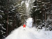 Discesa a valle - strada di collegamento dalla stazione a valle della seggiovia doppia Mauritz