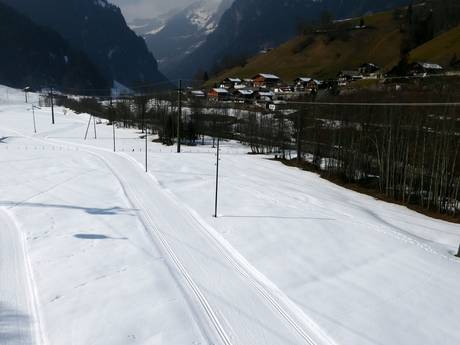 Sci di fondo Jungfrau Region – Sci di fondo Kleine Scheidegg/Männlichen - Grindelwald/Wengen