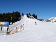 Impianti di risalita per principianti sulla montagna presso Hornspitz