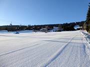 Ampia e facile pista a Zieleniec