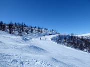 Pista Randi n. 54 (Vestlia)