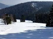 Discesa Vorderdorf fino allo skilift Rehbach