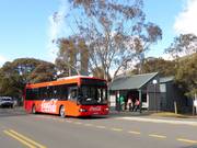 Una vasta rete di autobus trasporta gli ospiti alle piste