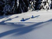 Suggerimento per i più piccoli 