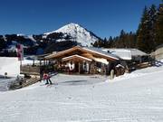 Brantlalm a Brixen im Thale