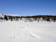 Offerta infinita di piste da fondo