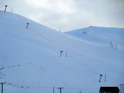 Kormákur afi - Skilift a piattello