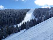 Pista difficile n. 19c Gvozdec