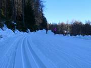 Centro sci di fondo Falzeben