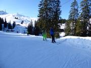 Wenalift - Manovia/Babylift a fune bassa