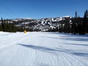 Pista facile Vesleseterbakken