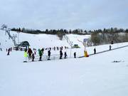 Sci e snowboard a Edmonton