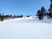 Pista intermedia 14.1