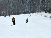 Famiglie allo skilift Muli 1