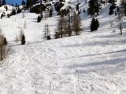 Zona di neve fresca presso la seggiovia Lombarde