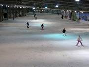 Discesa principale (Blauwe Piste)