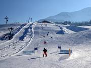 Pista da gara presso il Tannlift
