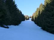 Discesa per famiglie Riegel