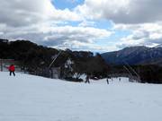 Facile discesa a valle Wombats Ramble