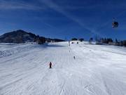 Facile discesa a valle verso Kaprun