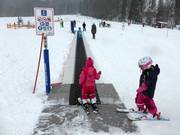 Tappeto magico nel Hirschzwergland