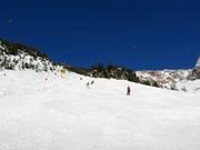 Discesa a valle nera Seealpe