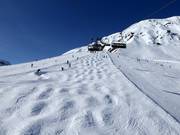 Pista di gobbe Plansegg