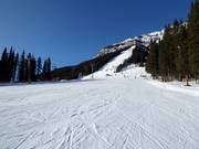 Pista facile Cascade