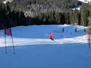 Stazione Adler7 Söllereck: Eagle Eye Run - percorso slalom