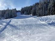 Discesa per famiglie