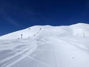 Pista difficile Dynamic (Grand Hirafu)