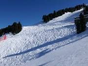 Pendii di neve fresca a Bormio