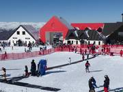 Kindy Conveyor - Tapis roulant/Tappeto Magico