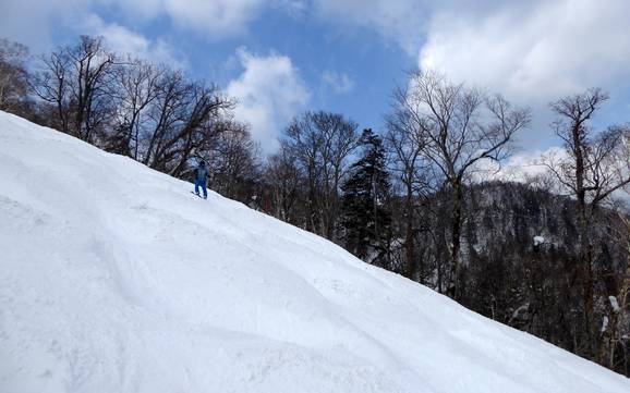 Comprensori sciistici per sciatori esperti e freeriding Prince Snow Resorts – Sciatori esperti, freerider Furano