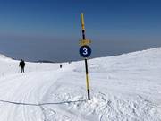 Segnaletica delle piste