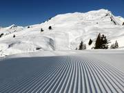 Ottima preparazione delle piste