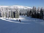 Facile discesa Rothaus