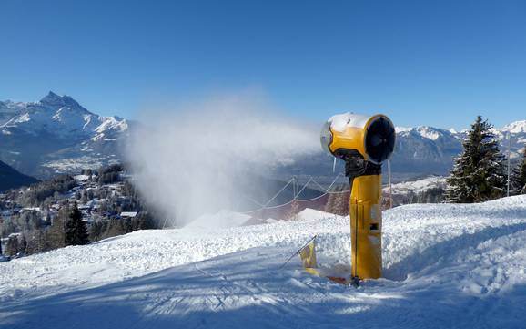 Sicurezza neve Vaud – Sicurezza neve Villars/Gryon/Les Diablerets