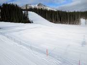 Pista larga Bull's Head